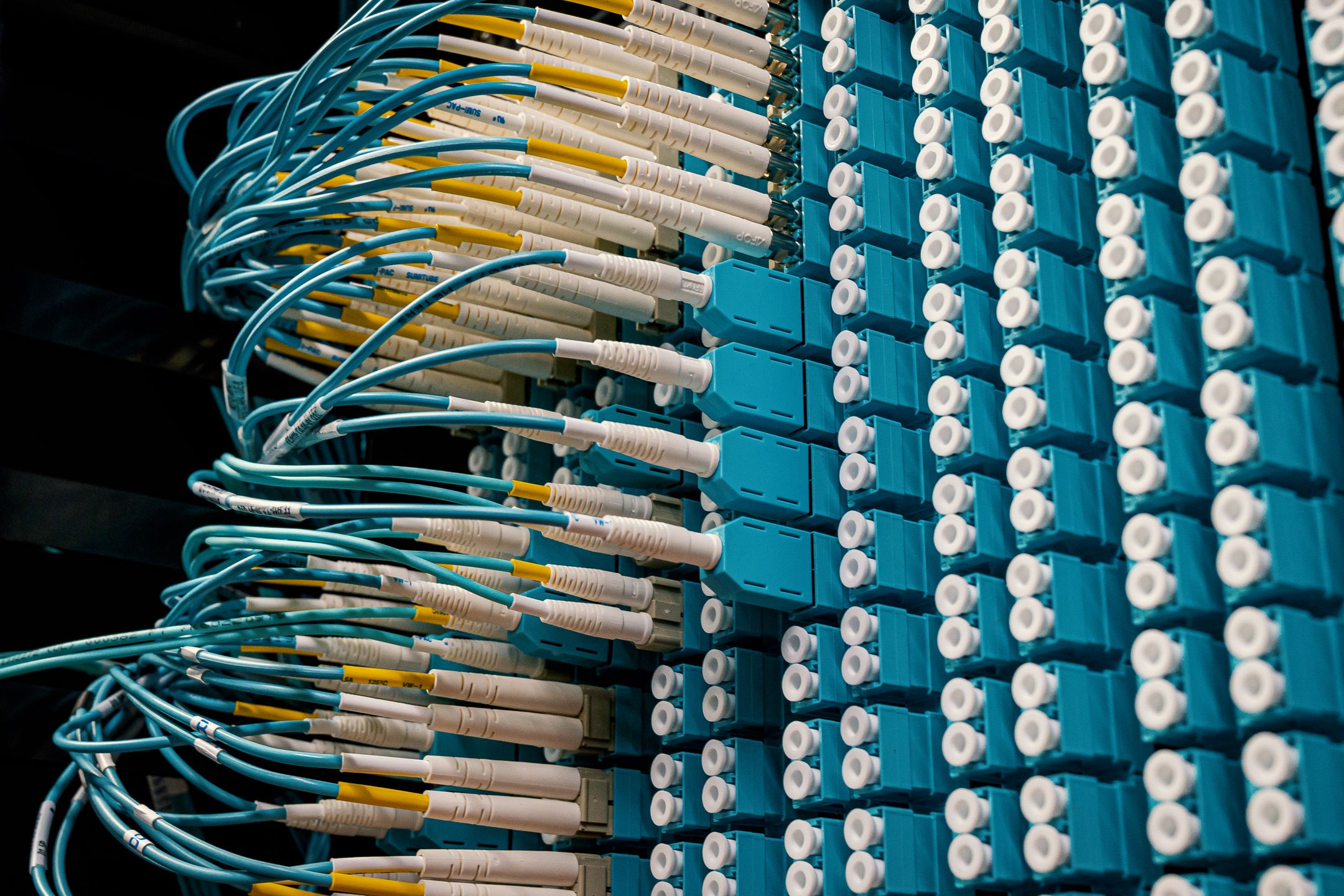 Fiber optic patch cables connected to a network panel
